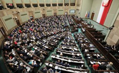 Stara kandydatka nie jest zła? PiS znów forsuje Dudzińską na Rzecznika Praw Dziecka