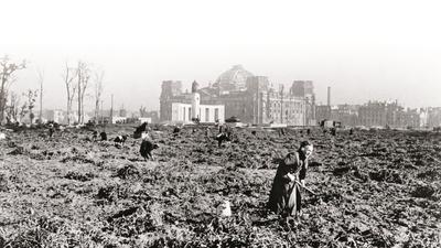 Berlin, Potato Cultivation / Photo 1945