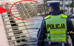 Oto nowy obowiązek kierowców w 2024 roku. Musisz iść do urzędu, są już daty