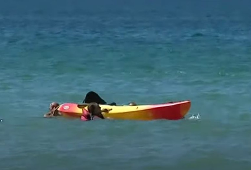 Predsednik Portugala pomaže ženama