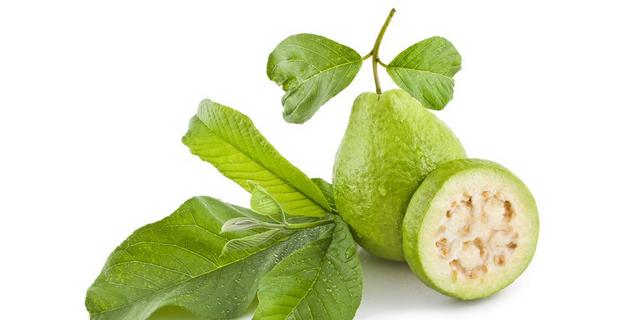 5 reasons you should never throw away guava leaves | Pulse Ghana