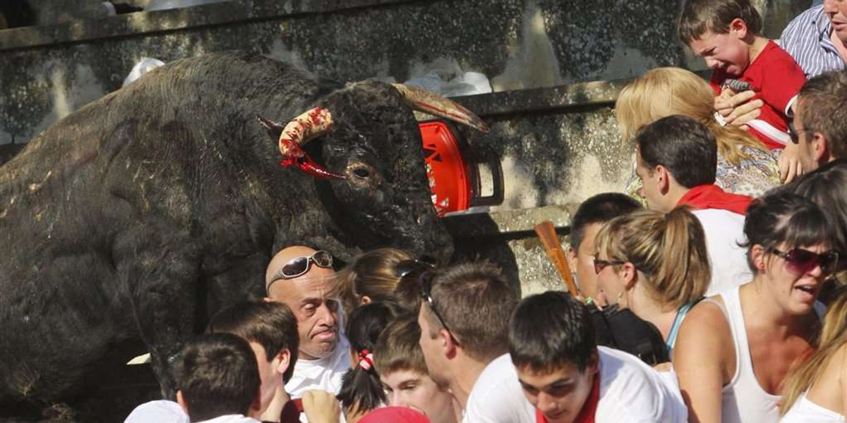 Byk wpadł na trybuny