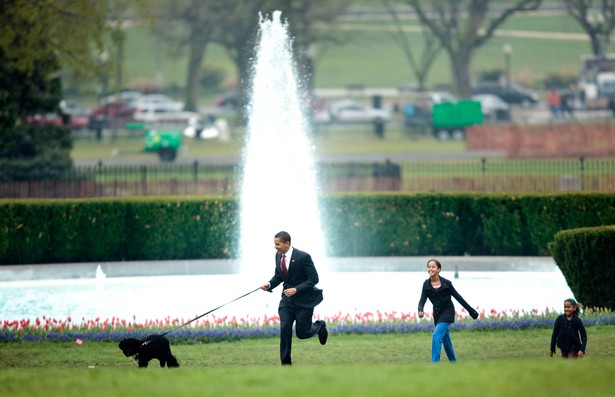 Prezydent Barack Obama ze swoimi córkami i z nowym psem Bo