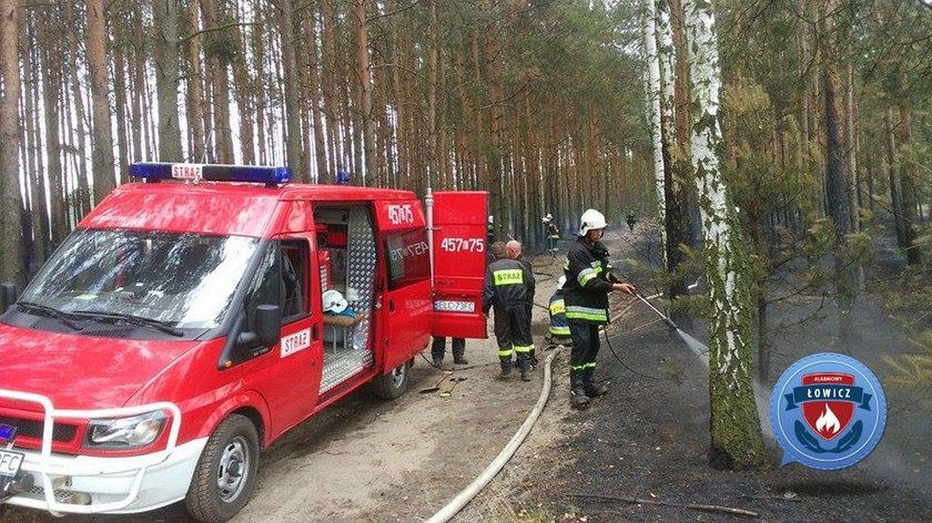 Pożar lasu w powiecie Łowickim