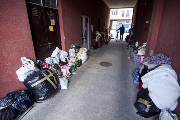 Novi Sad Radica Cvetanovic izbacena iz stana foto Nenad Mihajlovic 8