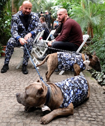 Artur Szpilka na spacerze ze swoimi psami