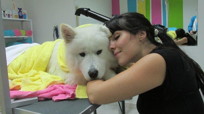 Održavanje higijene psa jako je važno