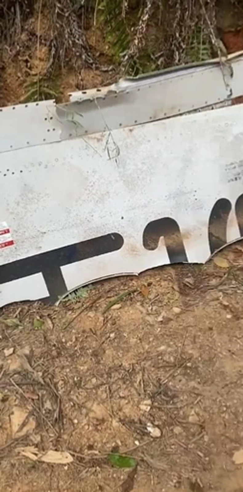 Deo aviona boing 737