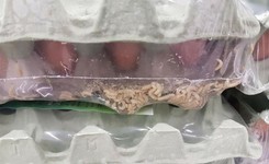 Larwy much w jajkach w lubelskim hipermarkecie. 'Słychać szmer robali pod folią'