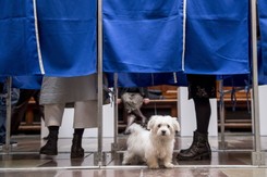 UE: Frekwencja w eurowyborach najwyższa od 20 lat