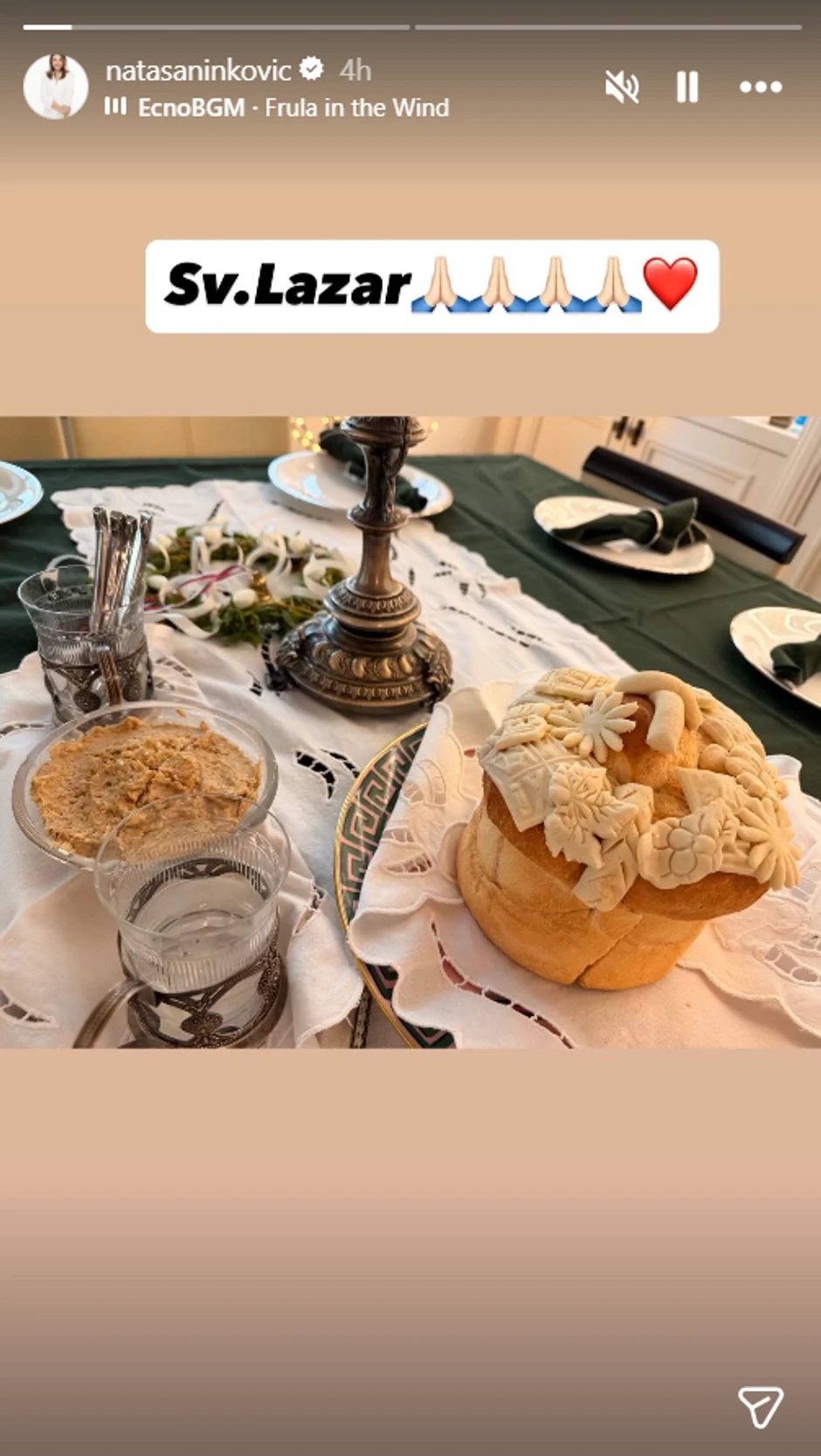 Nataša Ninković, objava