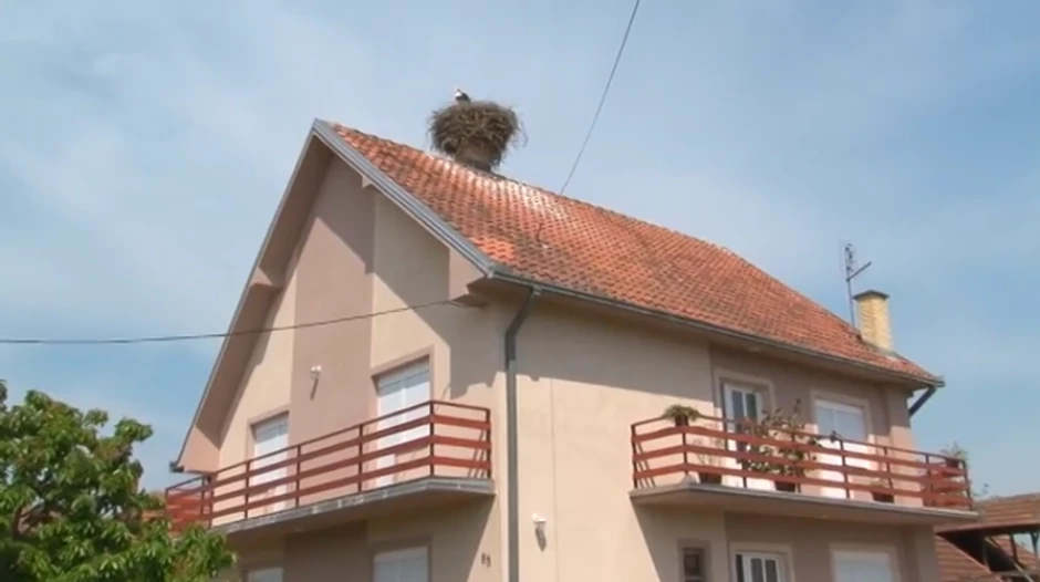 Krov kuće porodice Blažić stanište je roda već 32 godine