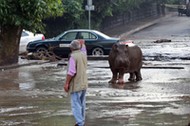 GEORGIA FLOOD