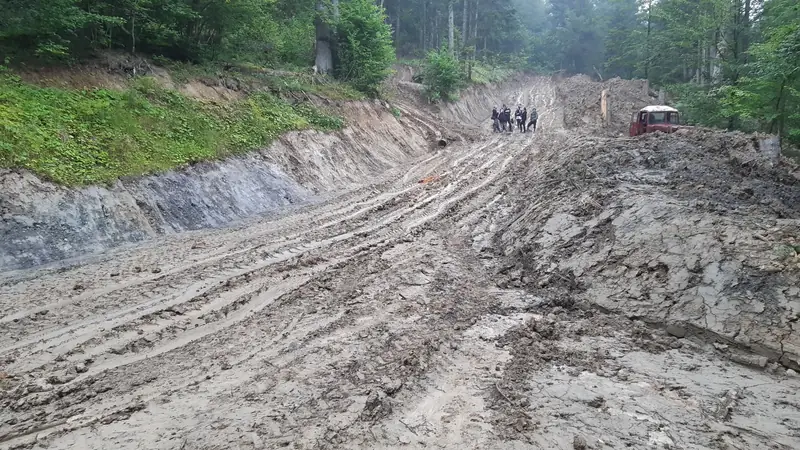 Dewastacja Puszczy Karpackiej / fot. Inicjatywa Puszcza Karpacka