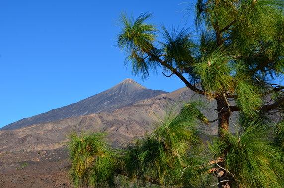 Wulkan Teide widoczny ze szlaku S-13. Teneryfa.