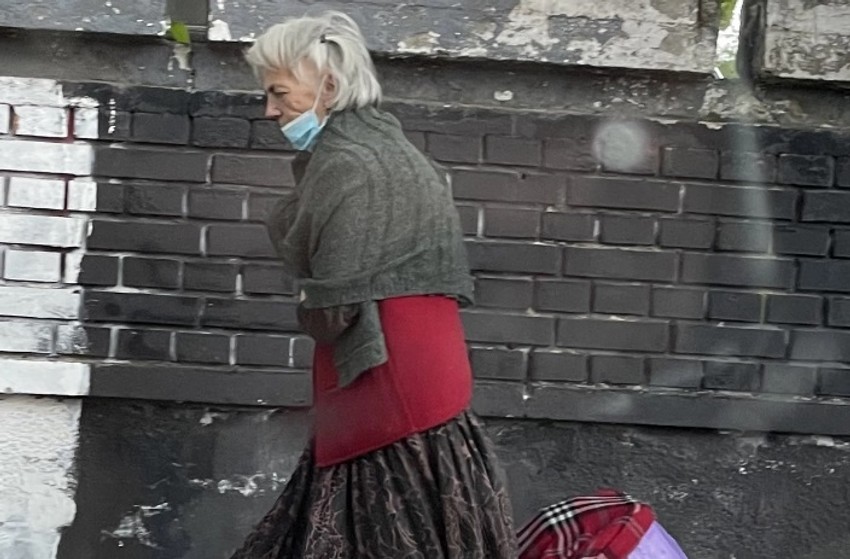 Vesna Pećanac danas