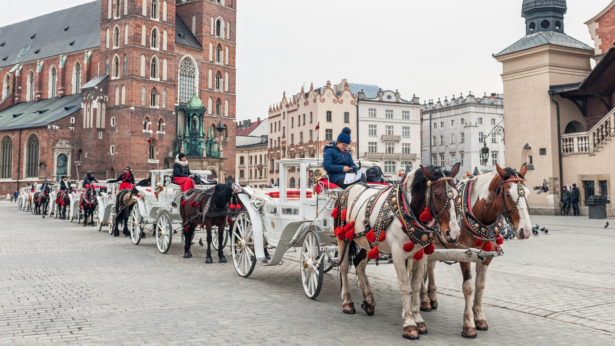 Dorożki konne znikną z Krakowa? Toczy się dyskusja o zakazie
