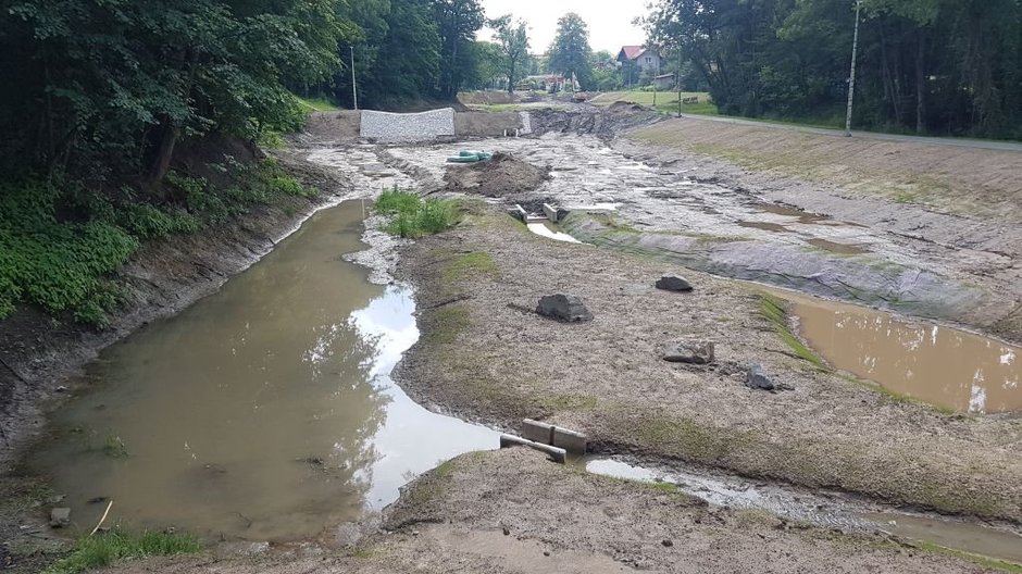 Jak zatrzymać wodę? Powstaną ogrody deszczowe!