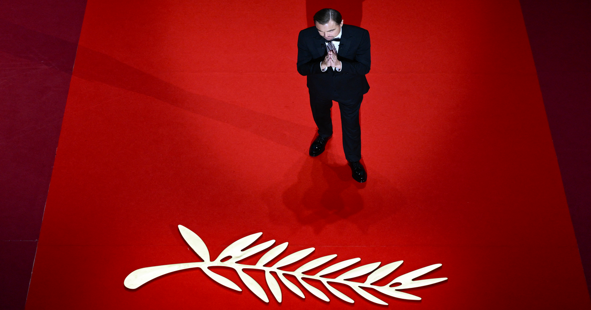 DiCaprio confesses biggest career regret to film's director