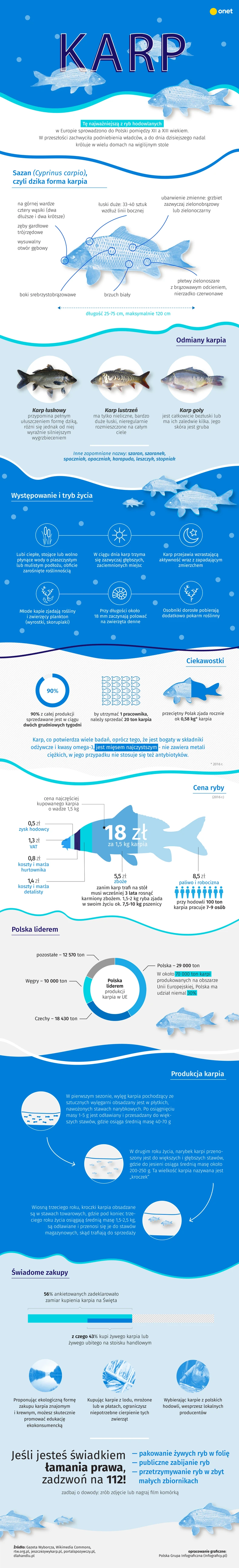 Wszystko o karpiach [INFOGRAFIKA]