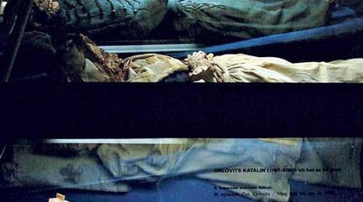 Római kórokozó ölte meg a váci múmiákat