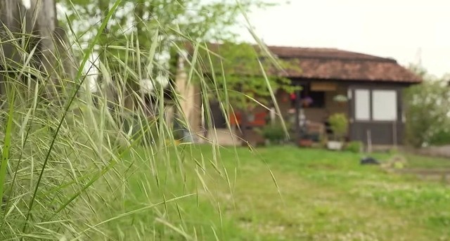 Maja Odžaklijevska imanje