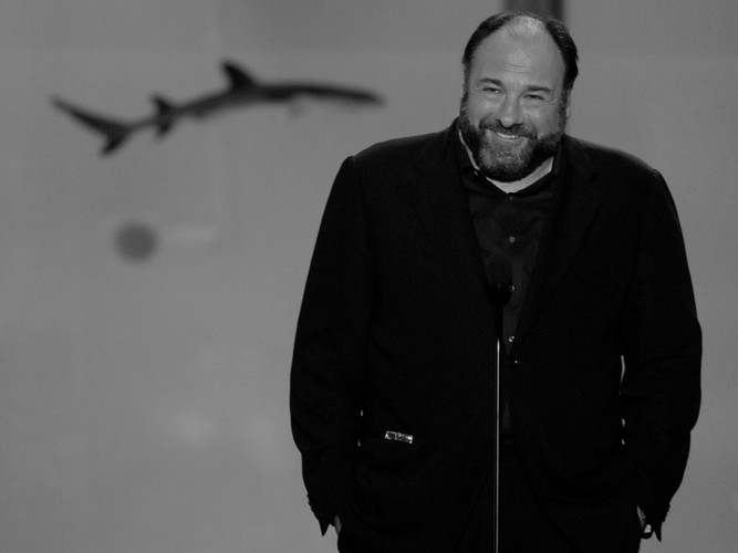 James Gandolfini (18 września 1961 – 19 czerwca 2013)