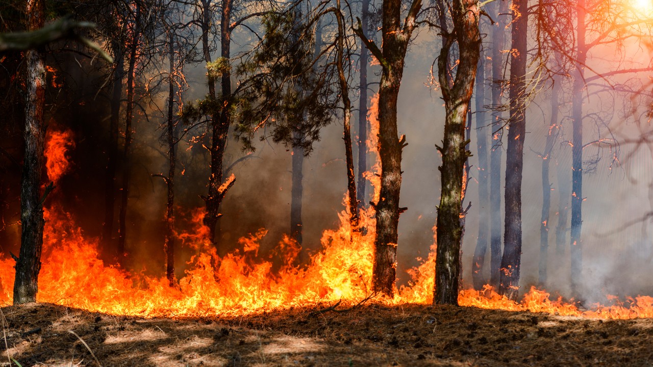 Rząd zaostrza kary za pożary. Ministerstwa opracują nowe przepisy