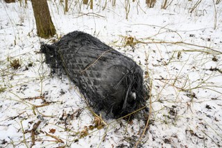 SpaceX: Współpracujemy z polskim rządem w sprawie odzyskiwania szczątków rakiety Falcon 9