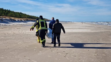 Makabryczne odkrycie na plaży. W Łebie znaleziono ludzkie zwłoki