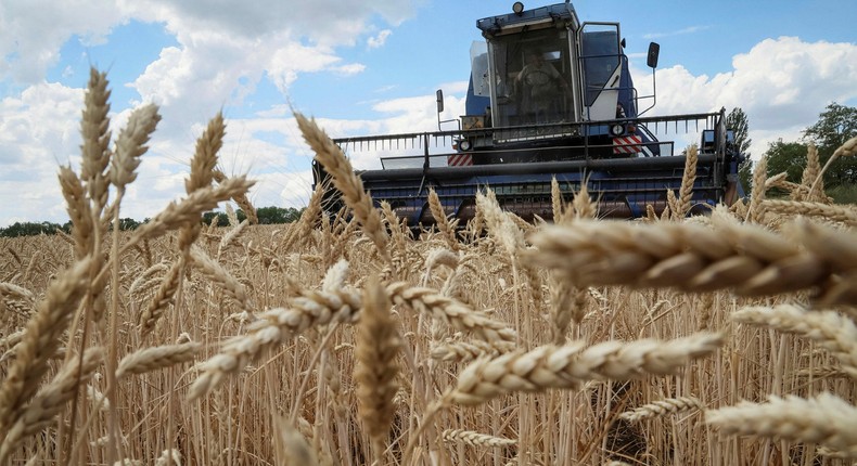 Grains from Ukraine