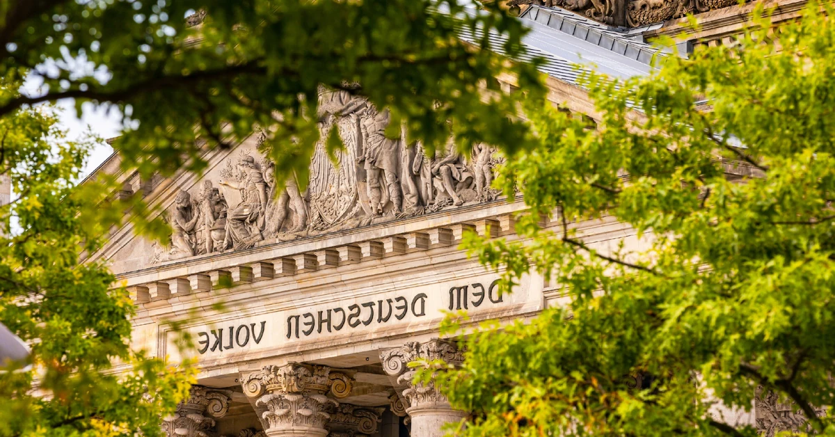 Milion drzew za trzy miliardy euro. Burza w Niemczech. "Absolutny żart"