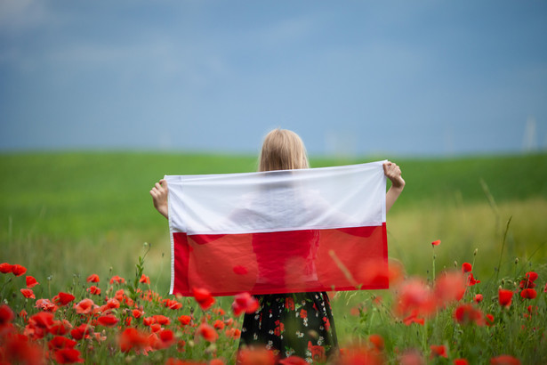 nowy ład polski założenia polska flaga maki