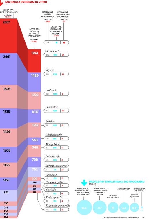 TAK DZIAŁA PROGRAM IN VITRO