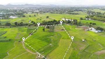 Zakup gruntów rolnych bez PCC? Większość sporów fiskus przegrywa