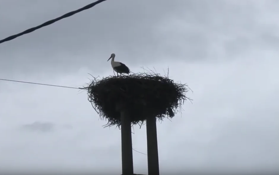 Vesnici proleća su na svom mestu