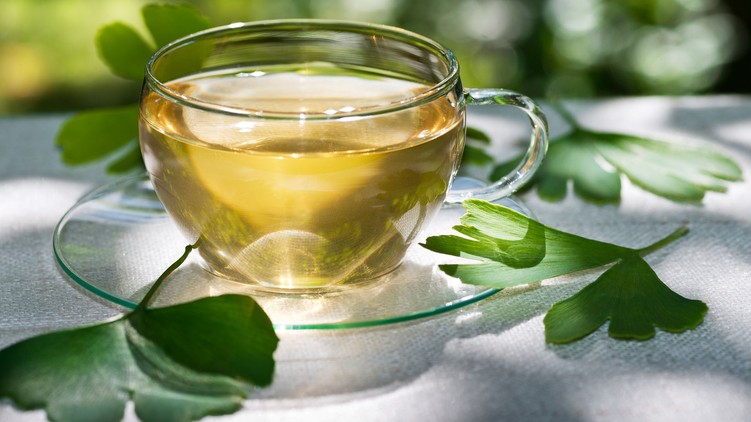 gyógynövény cukorbetegség diabétesz kutatás gingko biloba