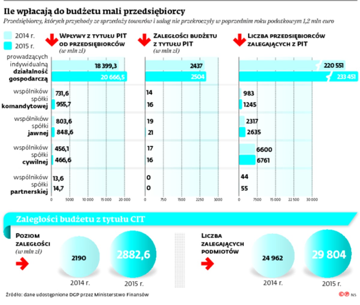 Ile wpłacają do budżetu mali przedsiębiorcy