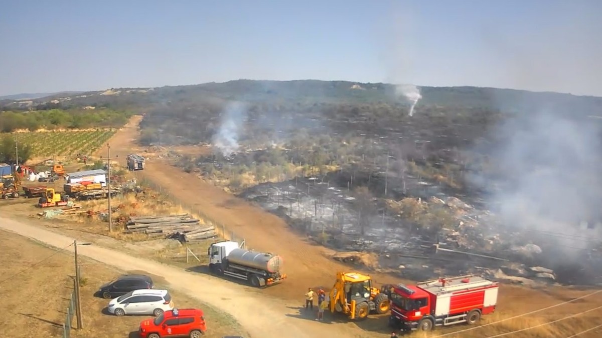 Na licu mesta požar kod Kladova gase vatrogasne jedinice, helikopteri i dobrovoljna vatrogasna društva