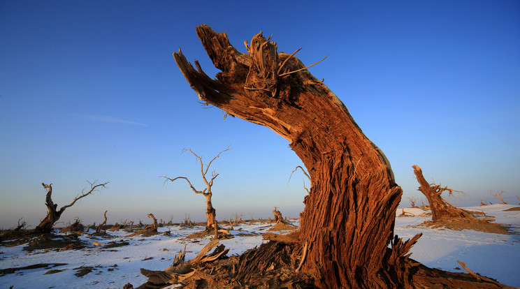 A klímaváltozás óriási katasztrófákat hozhat/Fotó:Northfoto