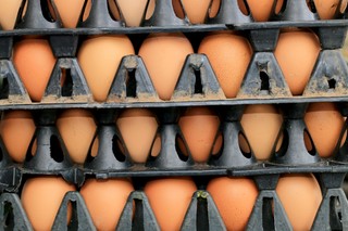 Bułgaria: Prawie pół miliona jajek z fipronilem wycofano z rynku