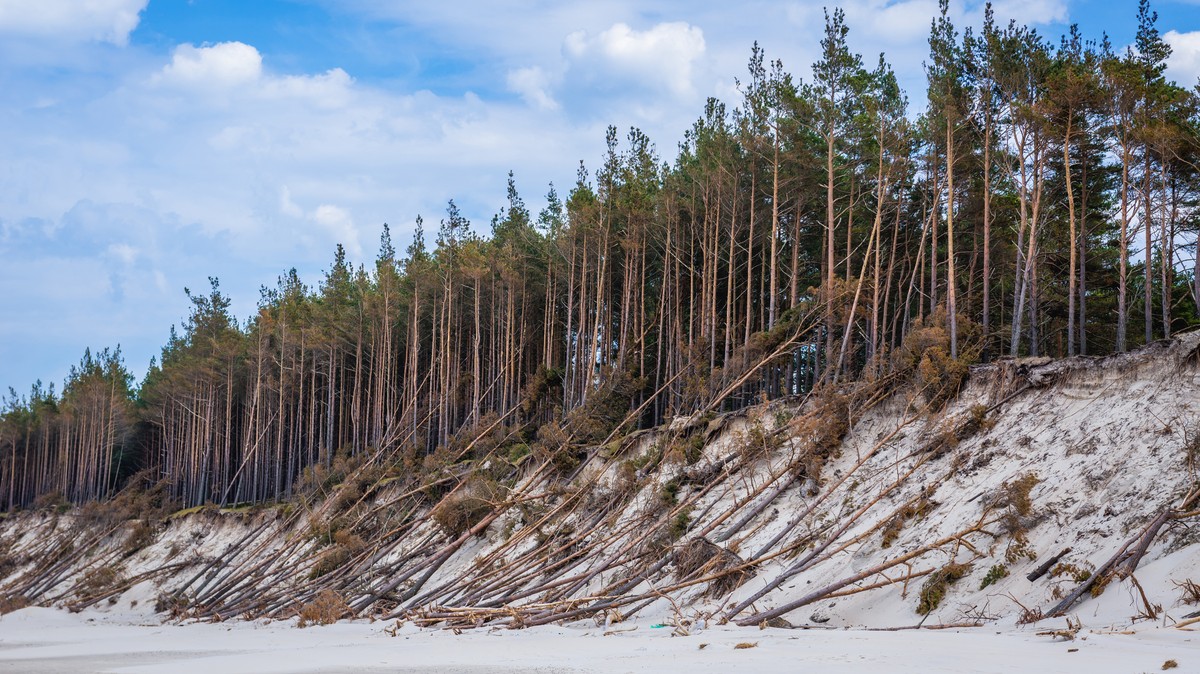 Erozja wydm nad Morzem Bałtyckim