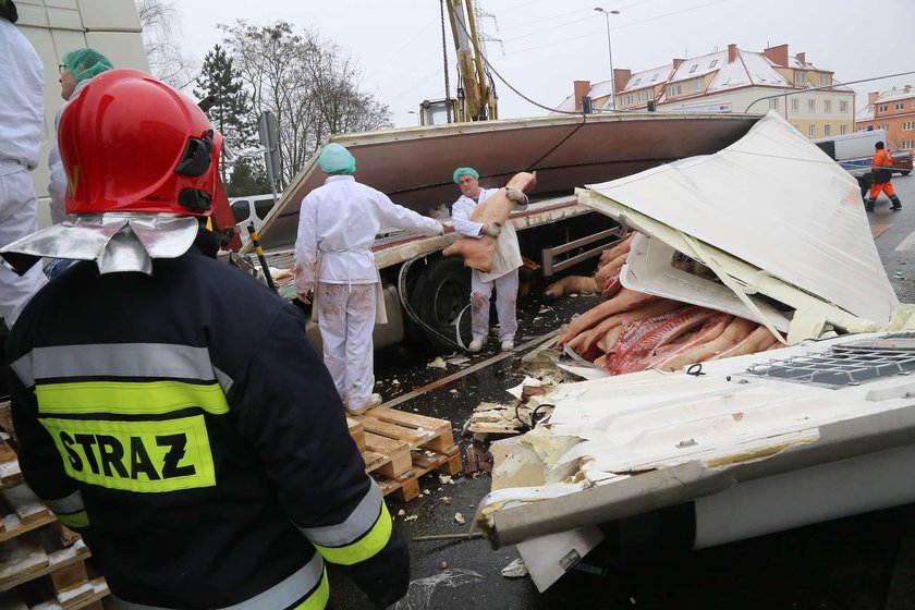 Świńskie półtusze rozsypały się na ulice Olsztyna i zablokowały miasto