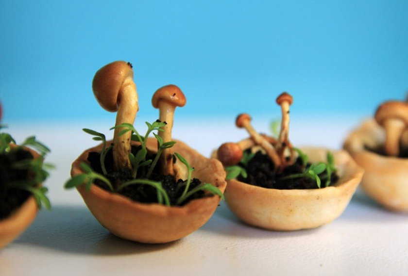Jedzenie z drukarki 3D. The Edible Growth autorstwa Chloé Rutzerveld