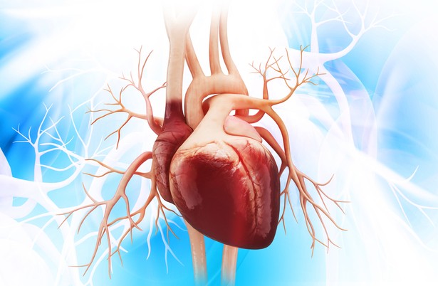 Niewidzialna epidemia w dobie pandemii. Rośnie skala problemów z niewydolnością serca