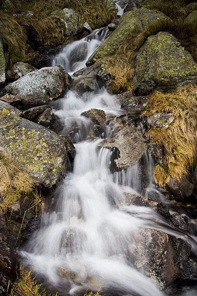 Galeria Polska - Tatry - okolice Doliny Pięciu Stawów, obrazek 30