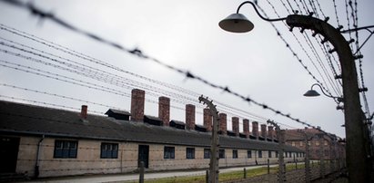 Muzeum Auschwitz wymienia ekspozycje