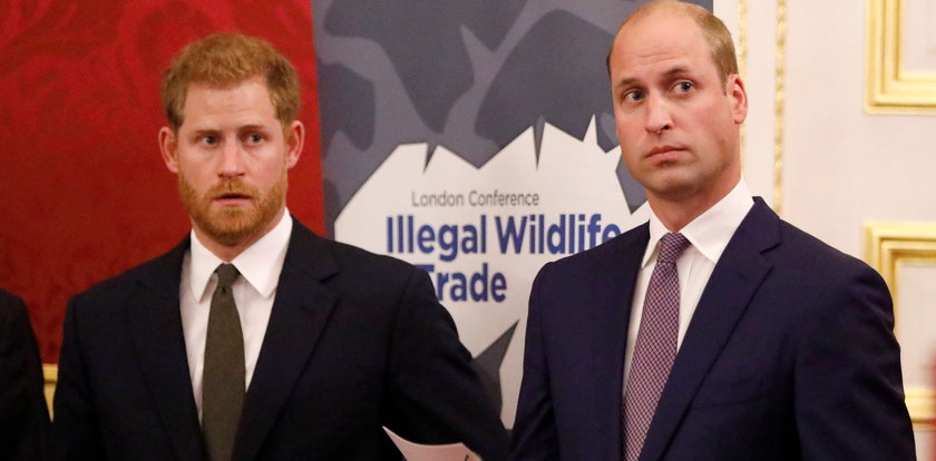 Na tę chwilę czekano od dawna! William i Harry wygłoszą wspólne przemówienie