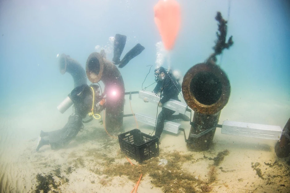 Postupak desalinizacije šteti okolini