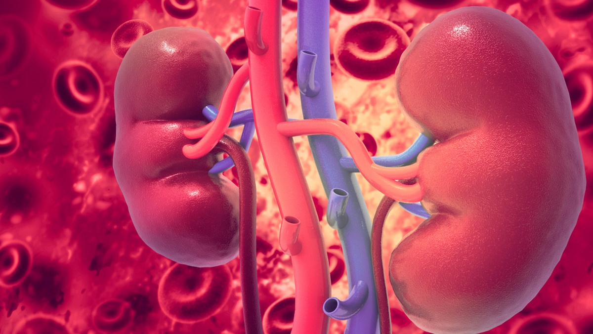Plecy czy nerki? 8 oznak, że z nerkami dzieje się coś złego 